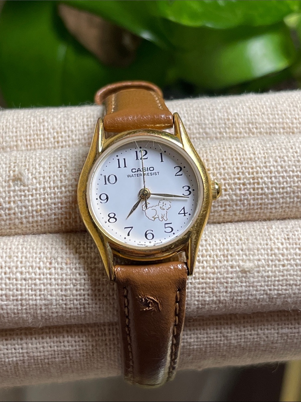 CASIO WOMEN'S CAT LEATHER WATCH
